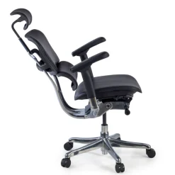 Sedia Ergonomica Ergohuman Elite, pelle naturale