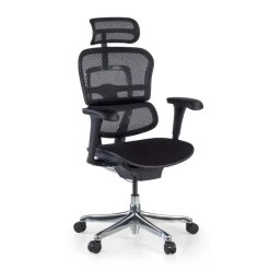 Sedia Ergonomica Ergohuman V2, seduta imbottita, struttura nera