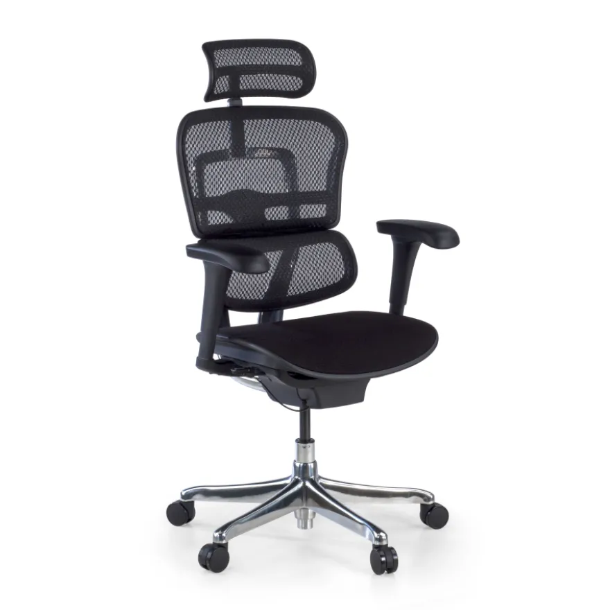 Sedia Ergonomica Ergohuman V2, seduta imbottita, struttura nera