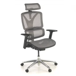 Sedia Ergonomica Focus, Struttura in alluminio, Schienale Regolabile