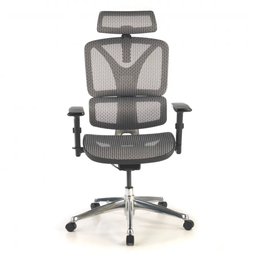 Sedia Ergonomica Focus, Struttura in alluminio, Schienale Regolabile