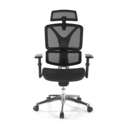 Sedia Ergonomica Focus, Struttura in alluminio, Schienale Regolabile