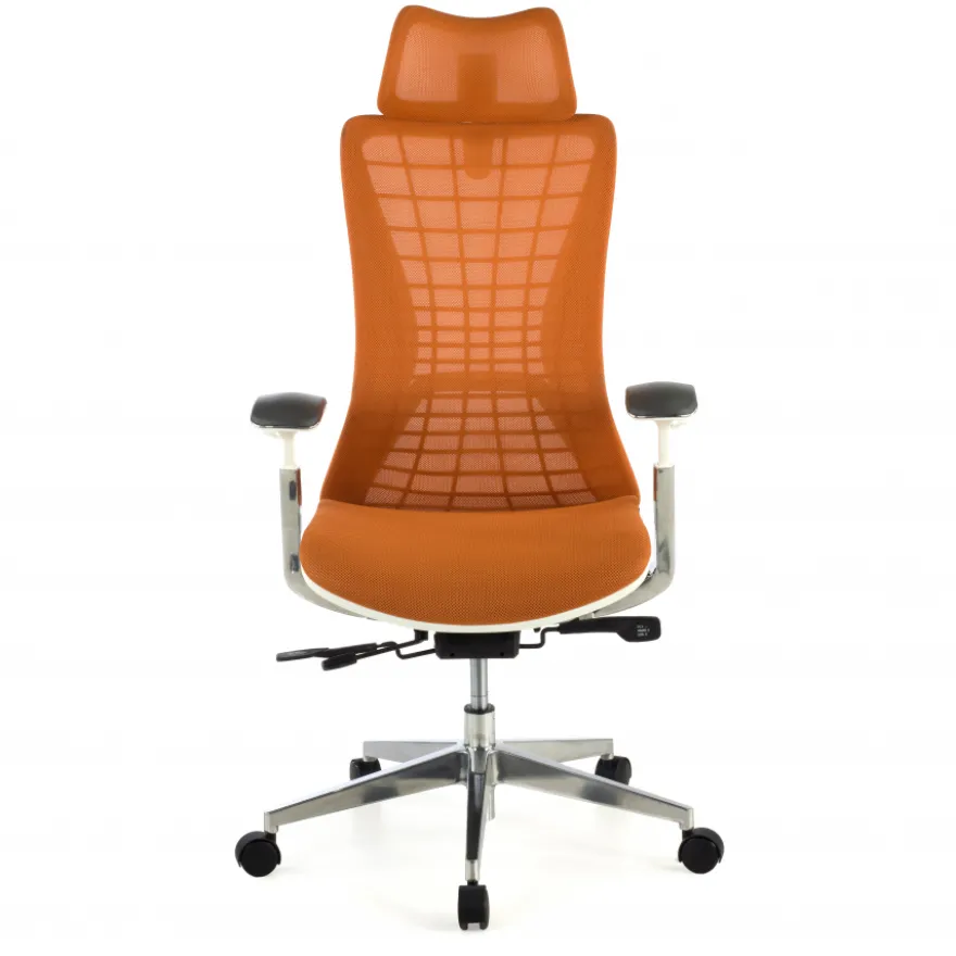 Sedia Ergonomica Professionale Miller, braccioli 3D, rete