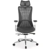 Sedia Ergonomica Professionale Miller, braccioli 3D, rete