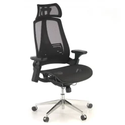Sedia Ergonomica Thunder, premium, supporto lombare, rete