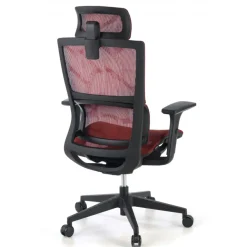 Sedia Ergonomica Winter, Supporto Lombare, Poggiatesta