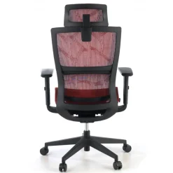 Sedia Ergonomica Winter, Supporto Lombare, Poggiatesta