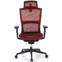 Sedia Ergonomica Winter, Supporto Lombare, Poggiatesta