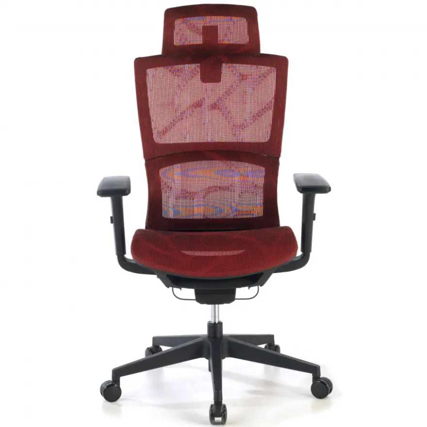 Sedia Ergonomica Winter, Supporto Lombare, Poggiatesta