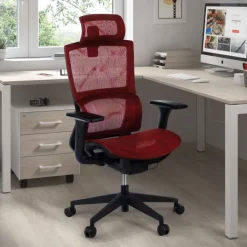 Sedia Ergonomica Winter, Supporto Lombare, Poggiatesta