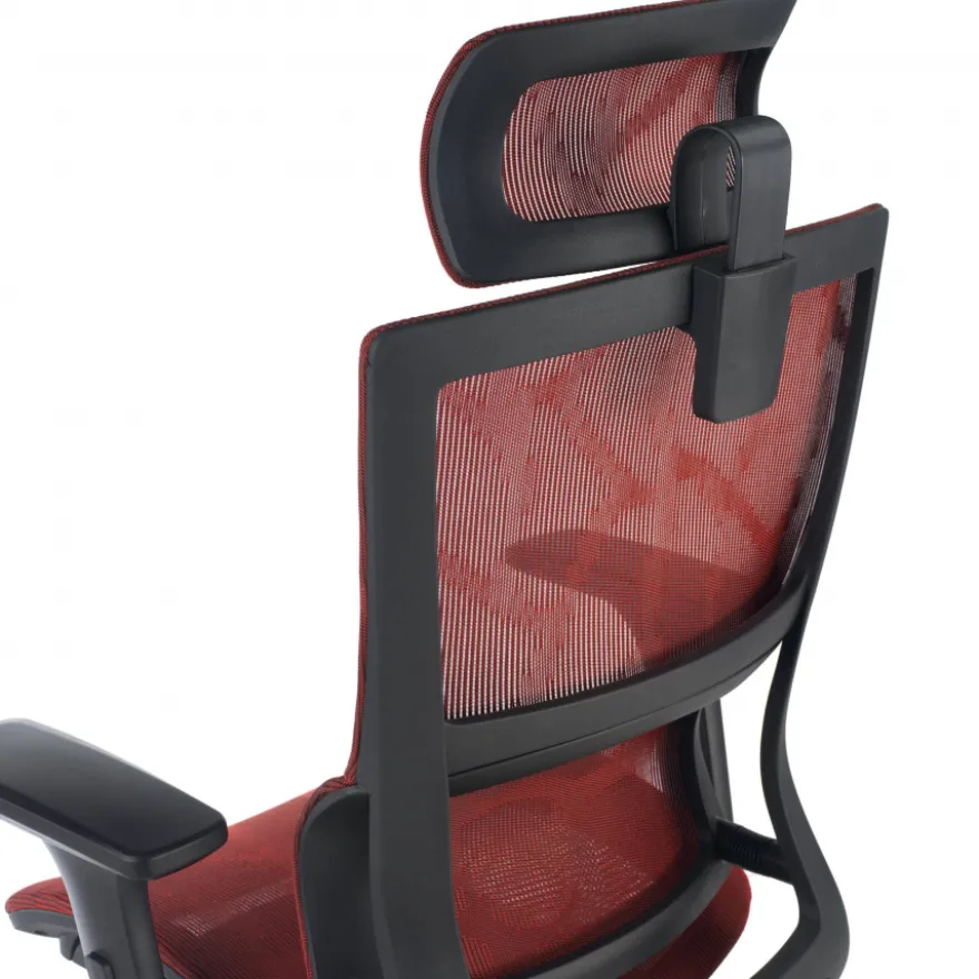 Sedia Ergonomica Winter, Supporto Lombare, Poggiatesta