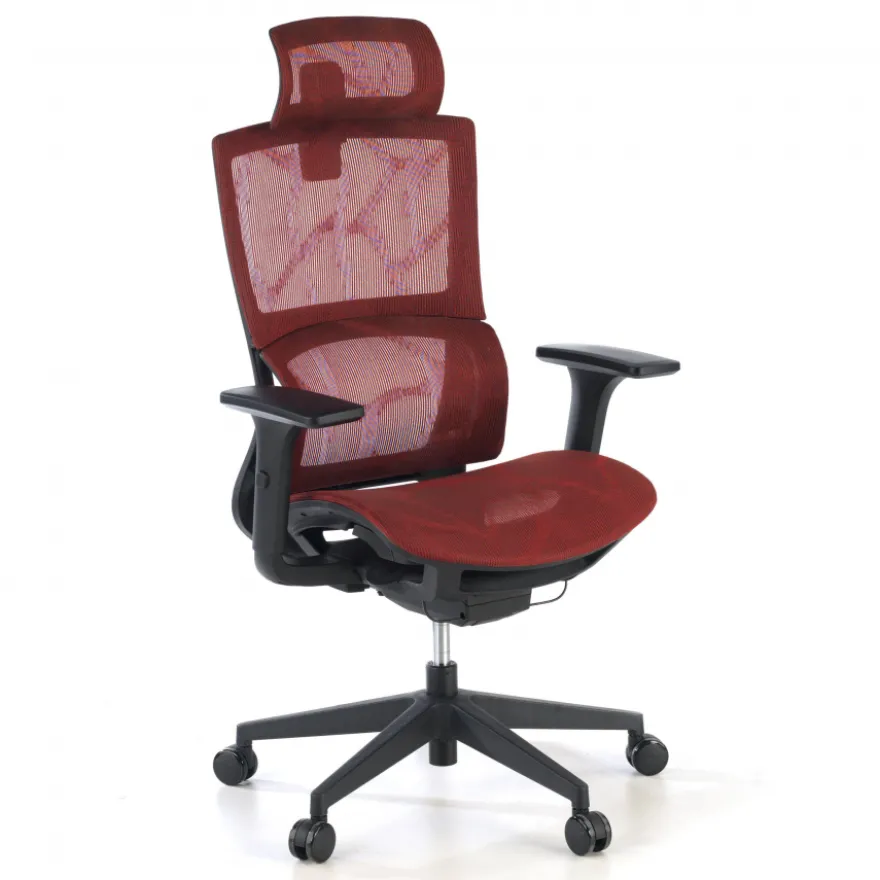 Sedia Ergonomica Winter, Supporto Lombare, Poggiatesta