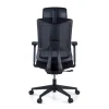 Sedia Ufficio Ergonomica Team2, Professionale, uso intensivo