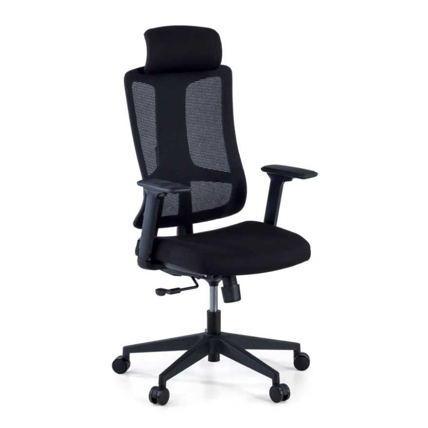 Sedia Ufficio Ergonomica Team2, Professionale, uso intensivo