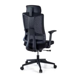 Sedia Ufficio Ergonomica Team2, Professionale, uso intensivo