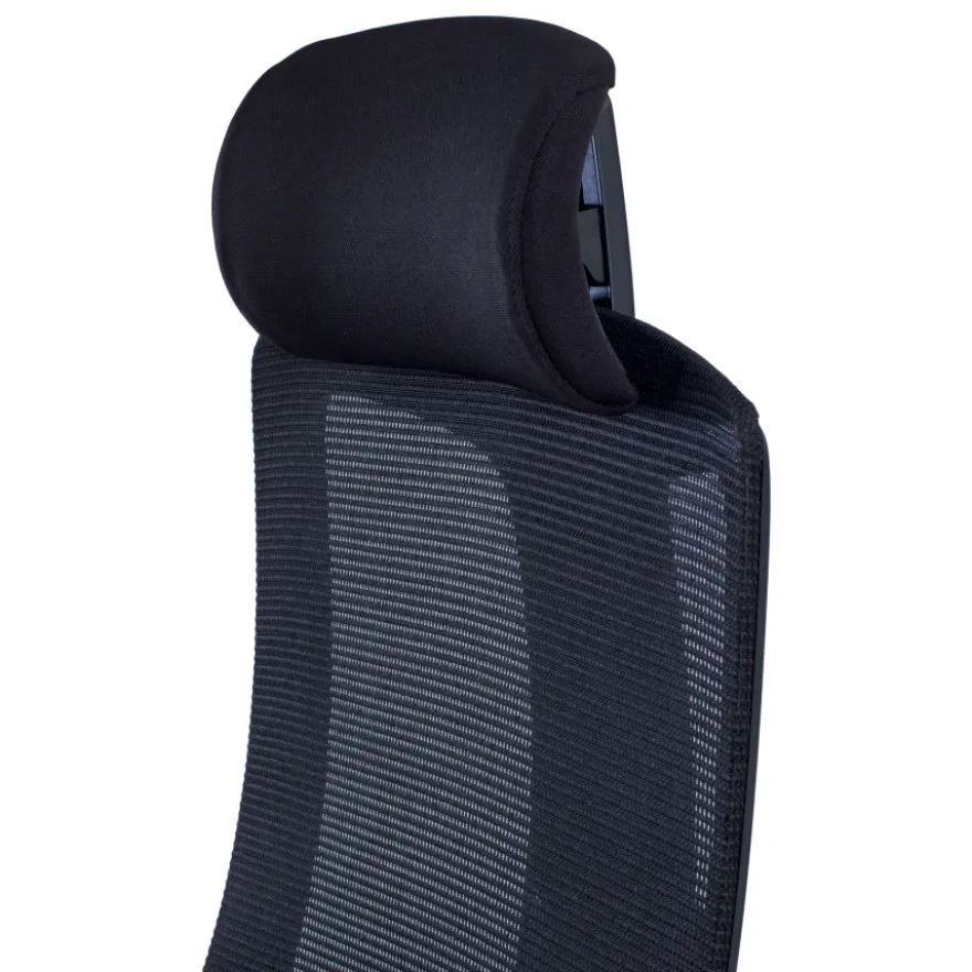 Sedia Ufficio Ergonomica Team2, Professionale, uso intensivo