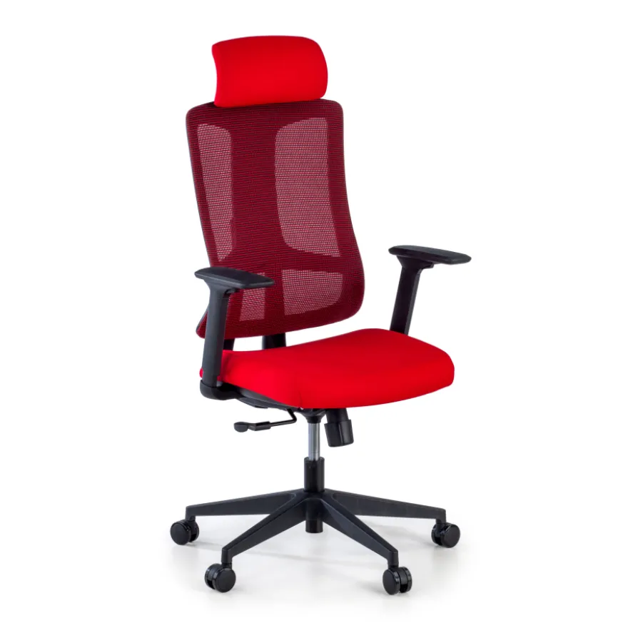 Sedia Ufficio Ergonomica Team2, Professionale, uso intensivo