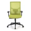 Sedia Ufficio Ergonomica Verdi, braccioli regolabili, supporto lombare,