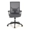 Sedia Ufficio Ergonomica Verdi, braccioli regolabili, supporto lombare,