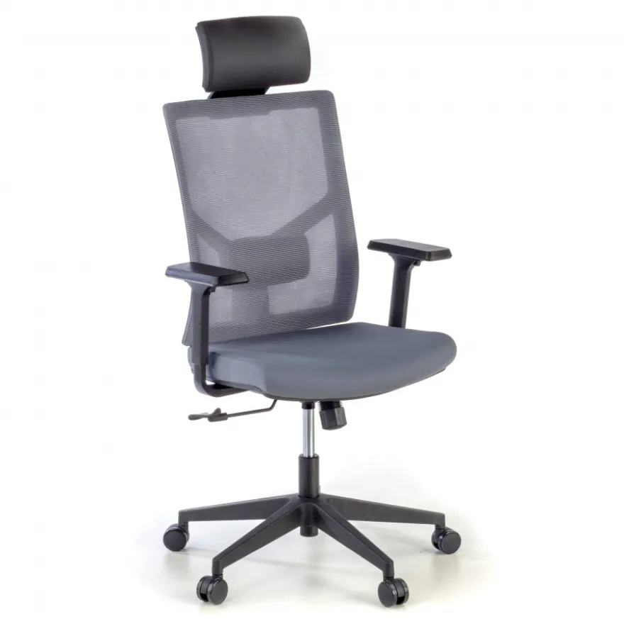 Sedia Ufficio Ergonomica Verdi, braccioli regolabili, con poggiatesta