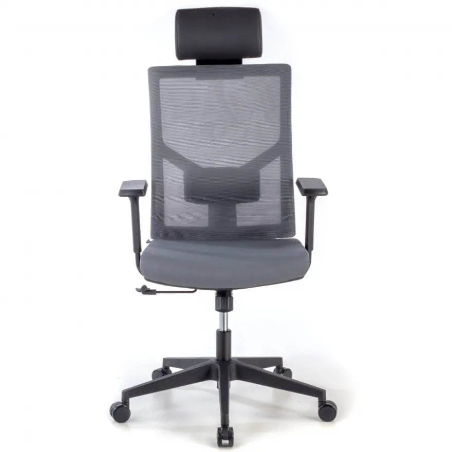 Sedia Ufficio Ergonomica Verdi, braccioli regolabili, con poggiatesta
