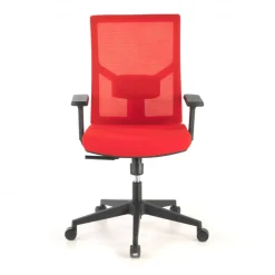 Sedia Ufficio Ergonomica Verdi, braccioli regolabili, supporto lombare,